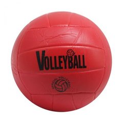 Мяч волейбольный MiC, TS-174917